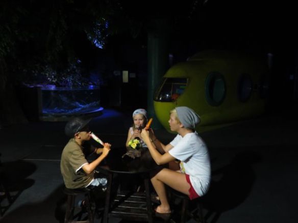 Vedenalaiskäytävien välissä oli mangrove-metsäksi rakennettu kahvio