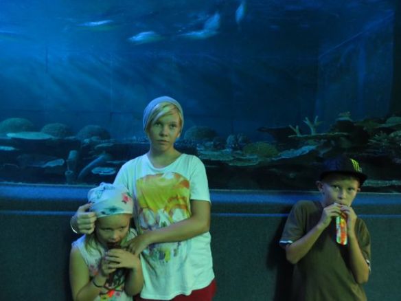 Vedenalaista käytävää mainostettiin Thaimaan pisimmäksi. Sanoisin kuitenkin, että Pattayan Underwater World on yhtä suuri mutta hienompi! (ks. "Trooppista talvilomailua")