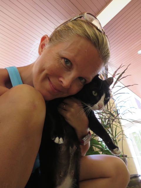 Intiaani-kisu hengailee meillä yhä päivittäin ruoka-aikaan. Yövartijamme oli pitänyt kisusta ja kaloista sekä kasveista jälleen hyvää huolta!