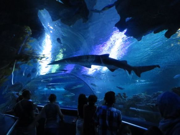 Täälläkin oli vedenalainen tunneli