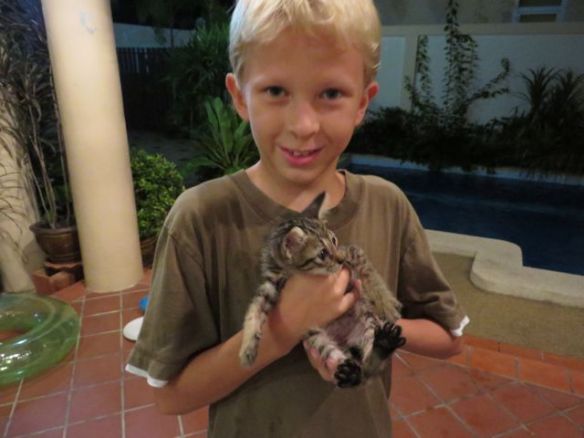 Pennuista rohkempi uskaltautuu jopa syliin