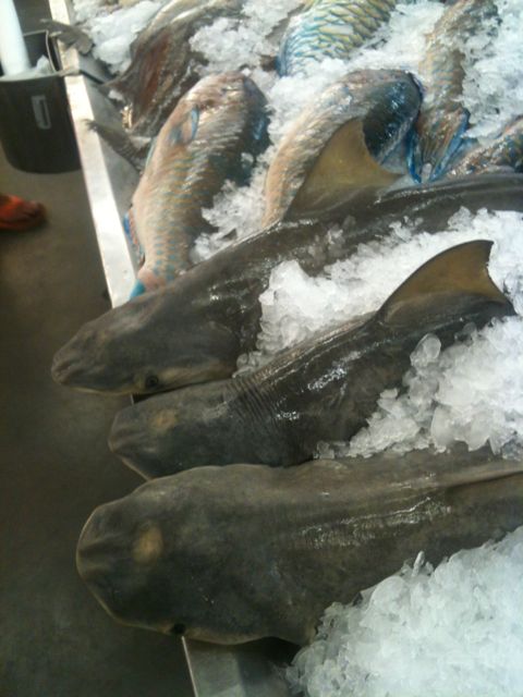 Makro-tukun mieletön kala- ja äyriäisosasto. Bouillabaissen ainekset löytyivät helposti