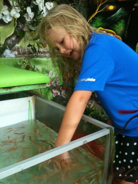 Taulukaupassa ostosten lomassa pääsi testaaman "fish therapy" -allasta. Kaloilla oli aikamoinen imuvoima, jaloista olisi lähtenyt kuollut iho nopeasti.