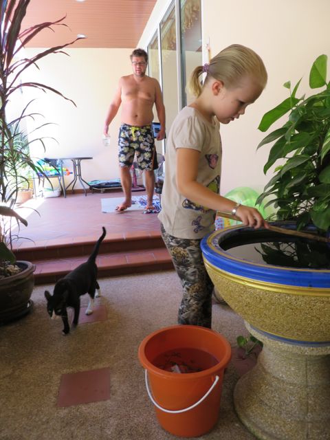 Kalamaljaa tyhjentämässä. Alunperin maljassa oli 9 kalaa, nyt varmaan 100. Intiaani-kisu kierteli toiveikkaana ympärillä...