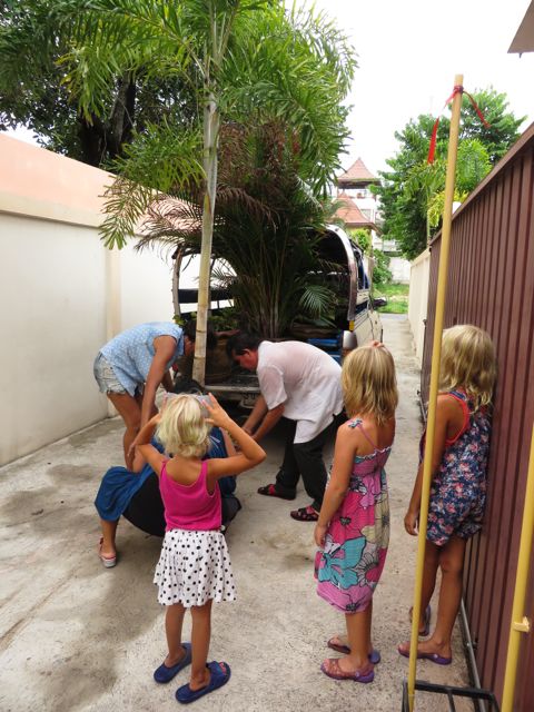 Yövartija apureineen lastaa ruukkukasveja lava-autoihin